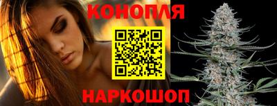 эйфоретик Малгобек