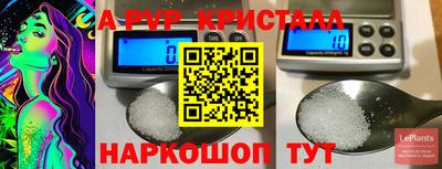 эйфоретик Малгобек